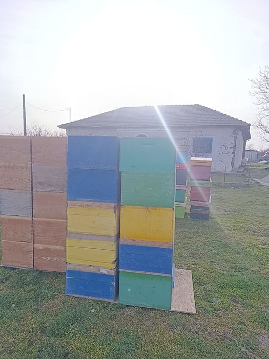 Caturi și cutii apicole