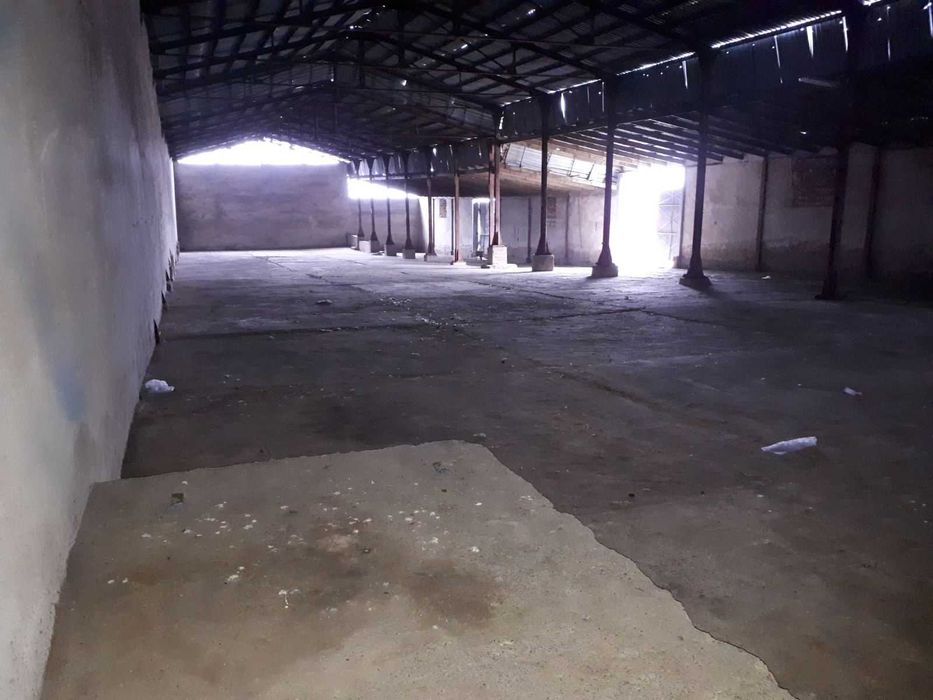 Продава се Склад в с. Воднянци, Област Видин - 25000 кв.м за 4 €/кв.м - Снимка #9