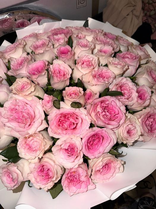 Голандски розы красивый