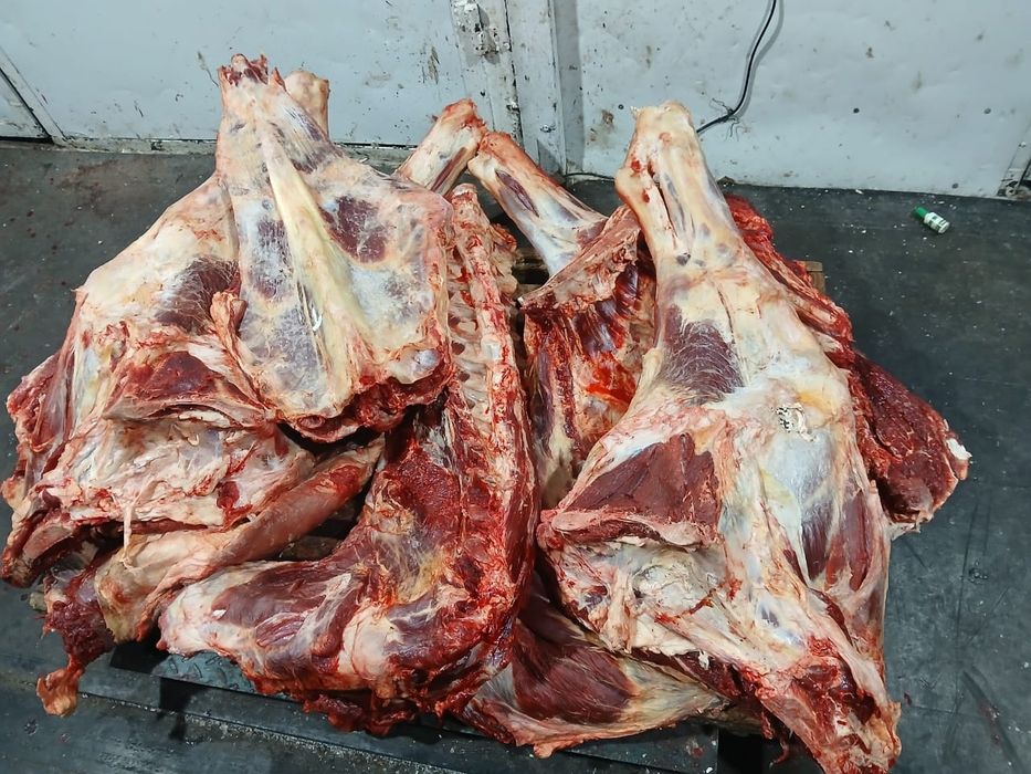 Мясо говядины конины