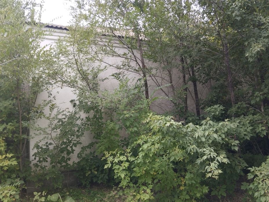 Продам здание из пескоблока