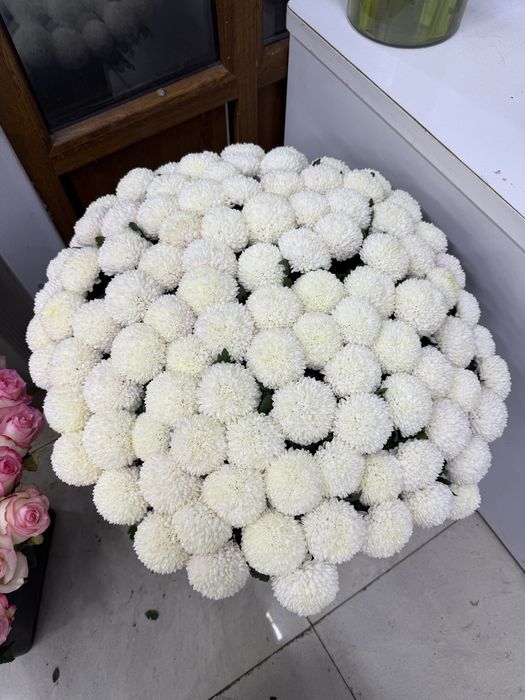 101 гортензия в коробке