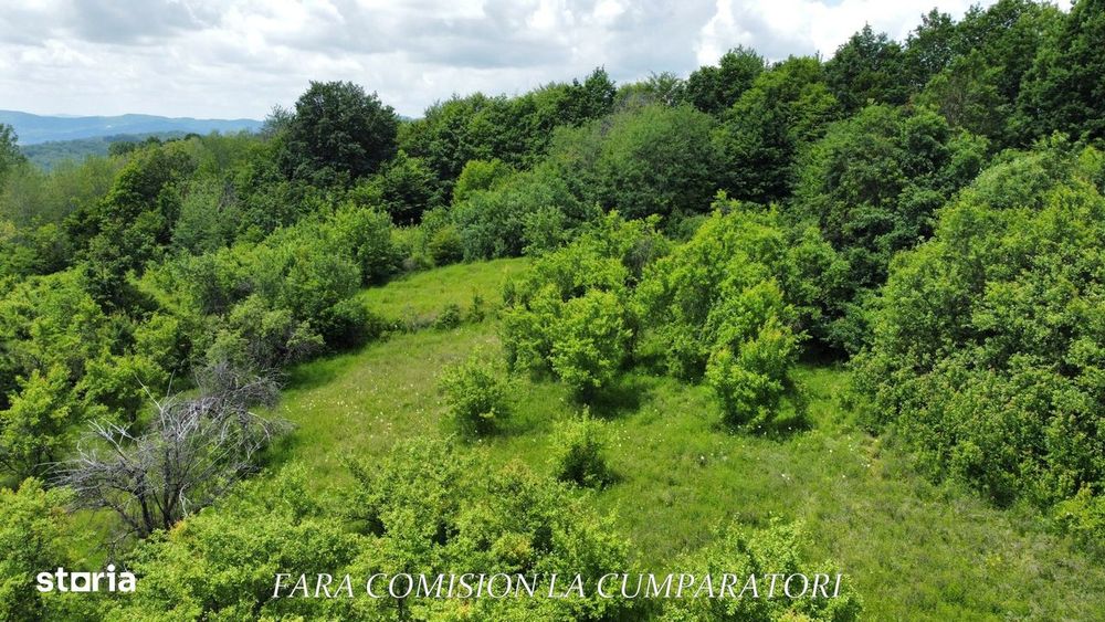 Teren 19.822 Mp, Cadru Natural Minunat