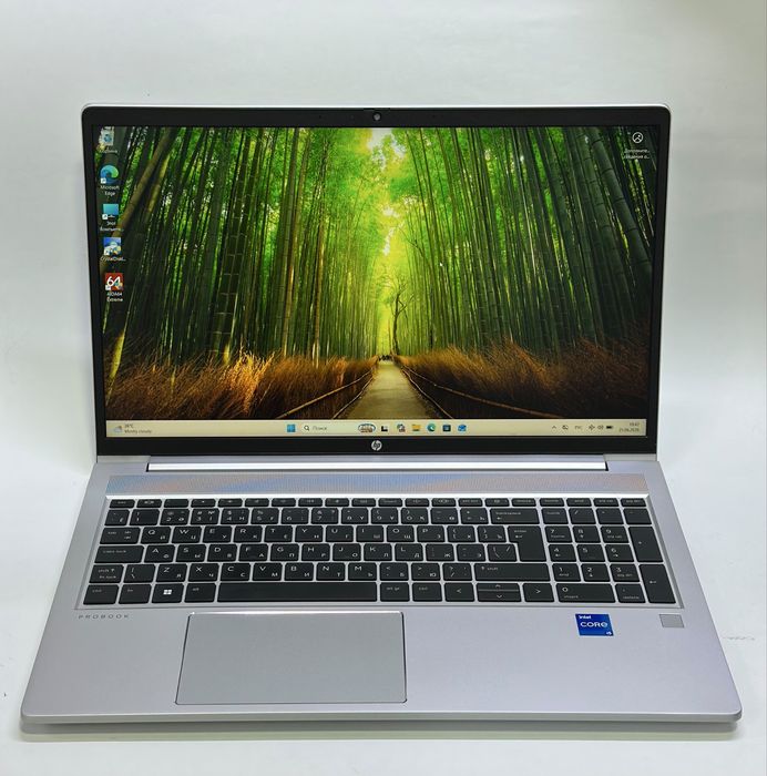 Ноутбук HP Pro Book 450 G10
