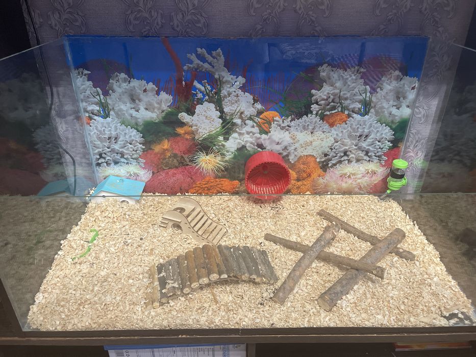 Продам терариум большой