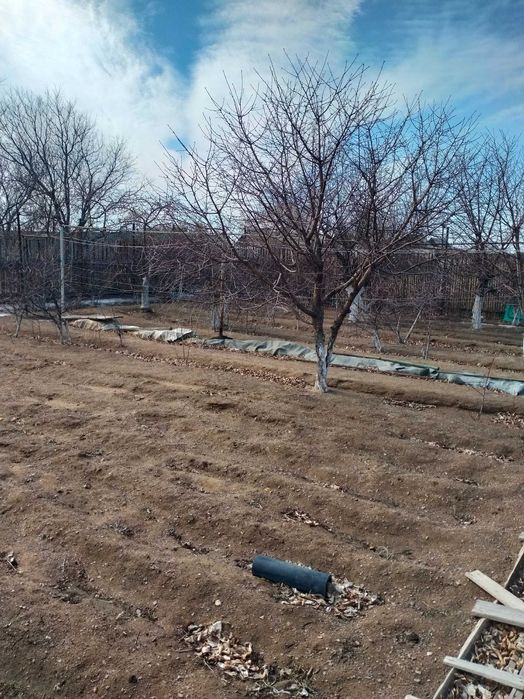 Продам дачу на техснабе