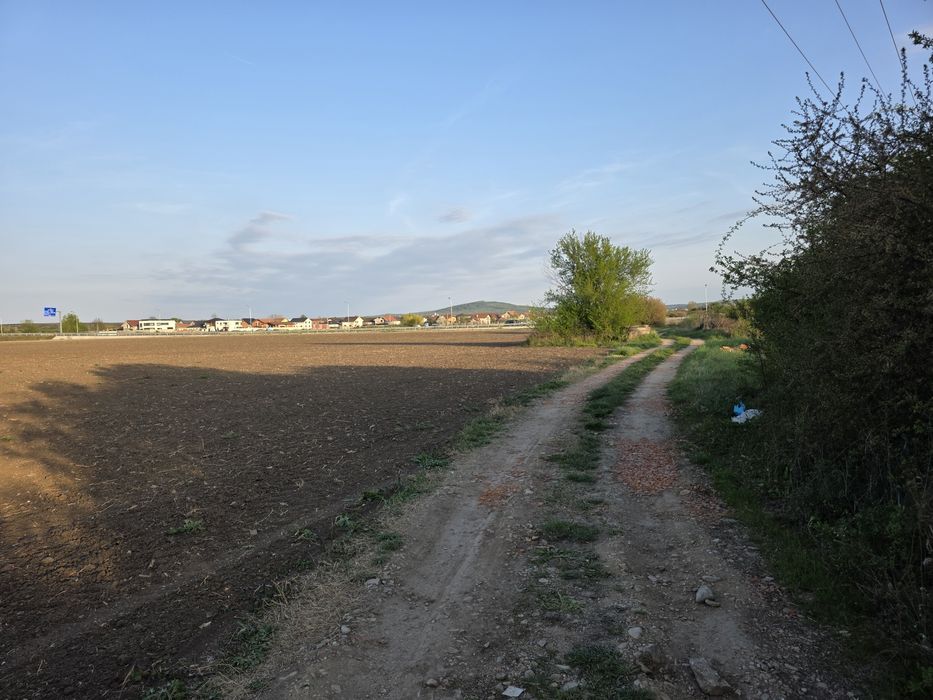 Teren intravilan de vânzare – Sânmartin - 5.683 mp