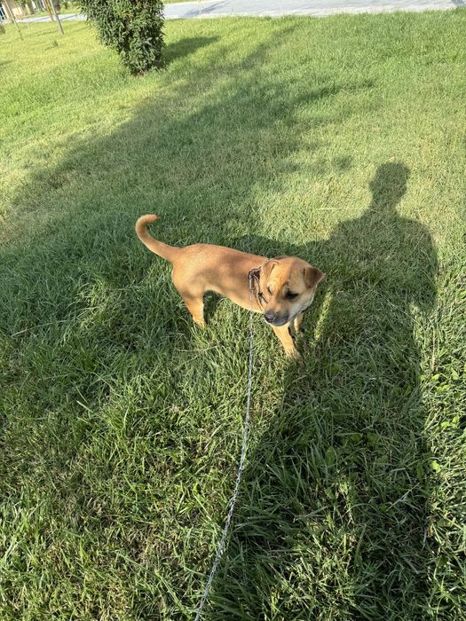 Продается срочно