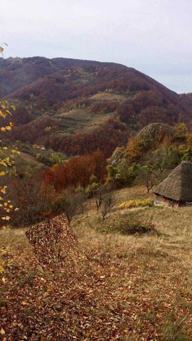 Teren de vanzare pe Transalpina de Apuseni