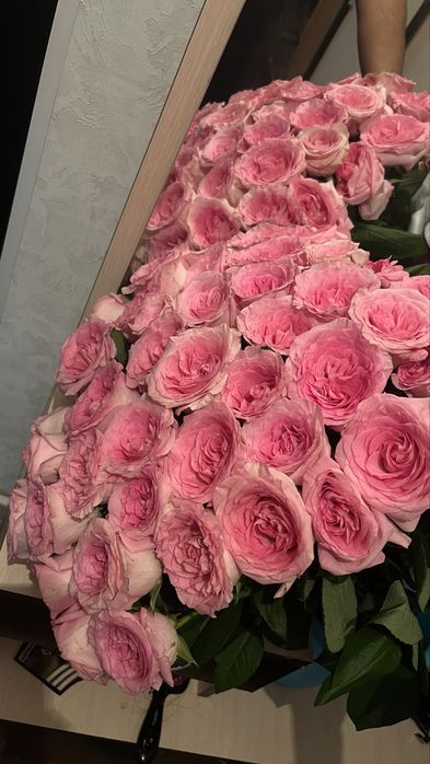 Продам розы 30штук