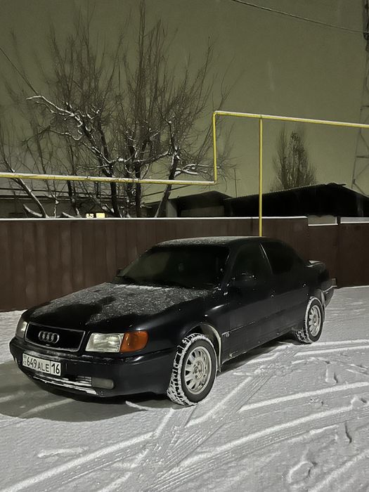 4титанка болонымен