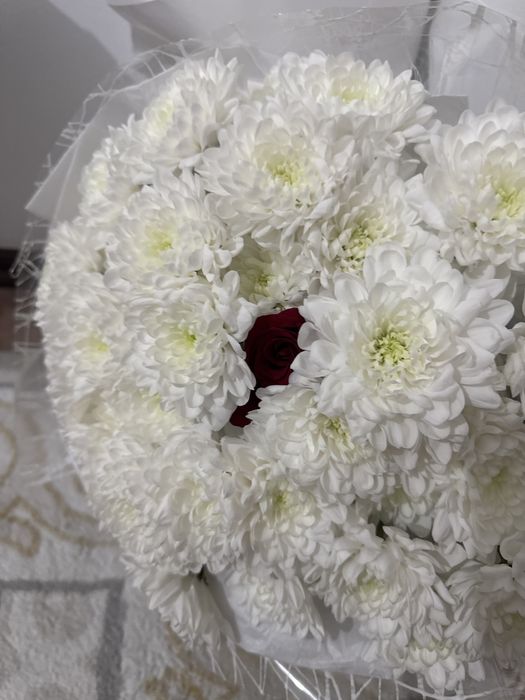 Цветы свежие гул