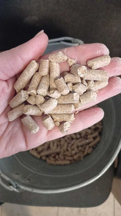 Tărâțe de grâu vrac furajer | Livrare rapidă