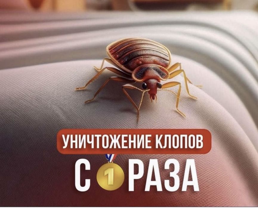 Дезинфекция и уничтожение насекомых в Актау