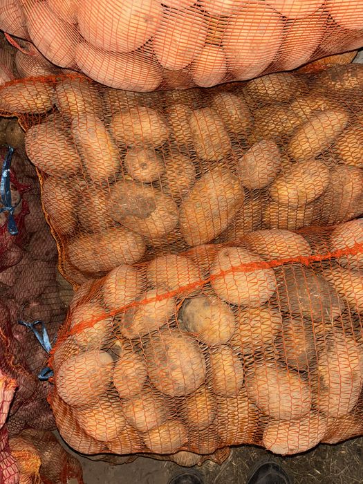 Vand cartofi consum samanta si pentru animale