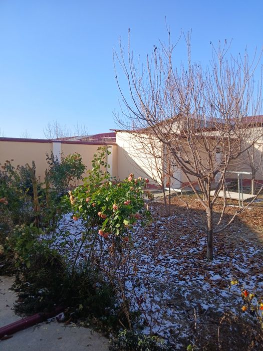 Кибрай байткоргон Катэж 6 сотки