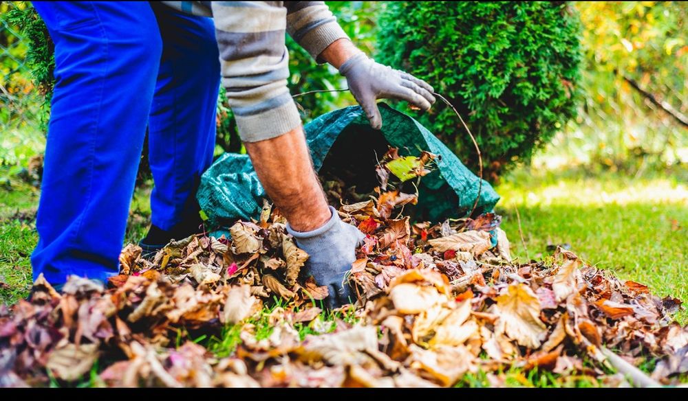 Поддръжка на зелени площи | Почистване на листа | Почистване на сняг