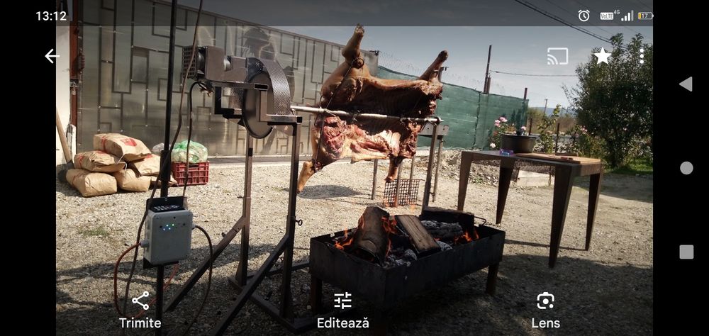 Rotisor alimentat la 220V