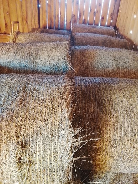 Vând baloții rotunzi de fan calitatea 1