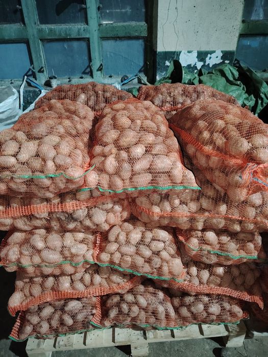 Cartofi de consum 2 lei/kg