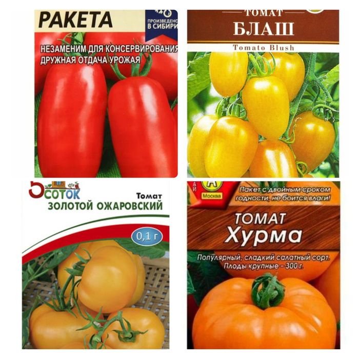 Рассада  огурцов,томатов, перца, баклажан