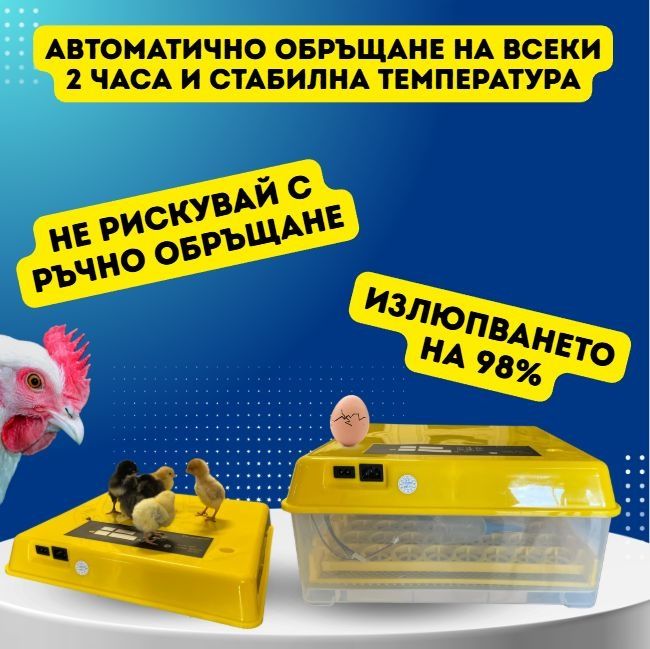 Автоматичен инкубатор с влагомер и двойно захранване 220+12v за 48 яйц
