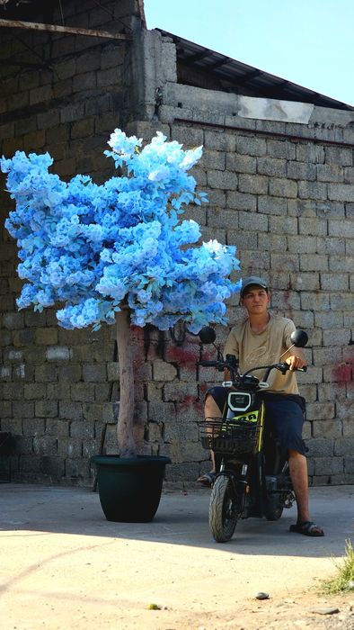 Сакура дарахлар йасаб берамиз
