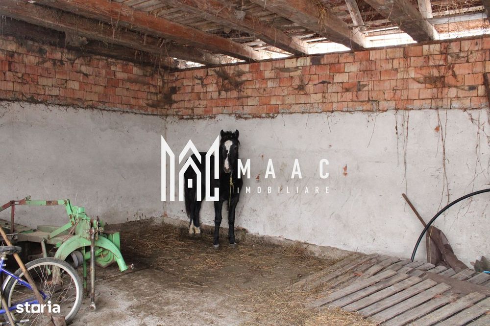 Oportunitate de Aur la Intrarea în Vurpar