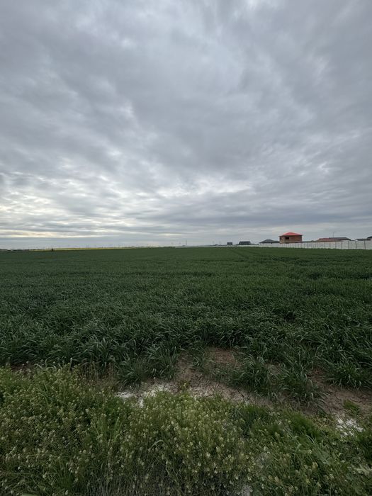 Teren de vanzare Extravilan Berceni-Vidra