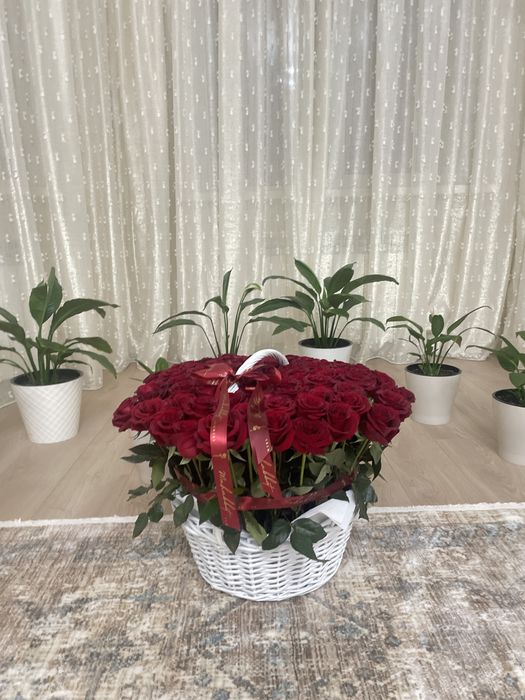 Срочно продам Цветы
