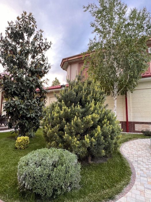 Landshaft xizmatlari