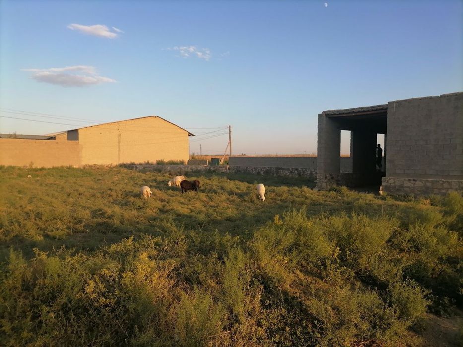 Участка ери сотилади тезда сотилади