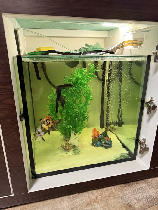 Два Оборудвани аквариума 650+125л с шкаф и риби