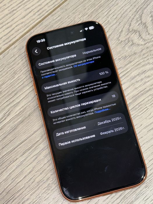 iPhone 17 Pro | 100% | 256GB