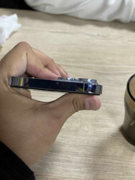 Iphone 13 Pro Max 256 Gb