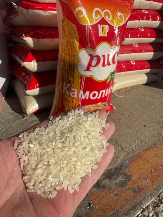 Күріш (Рис) Лидер, Элита, камолино