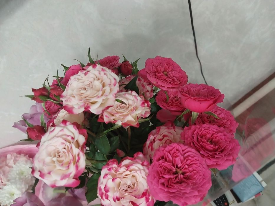 Продам цветв свежие