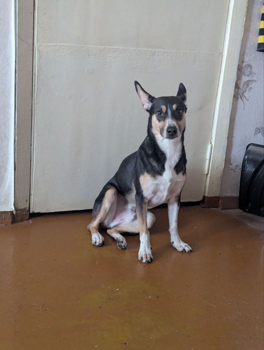 Дом и родители для Локи