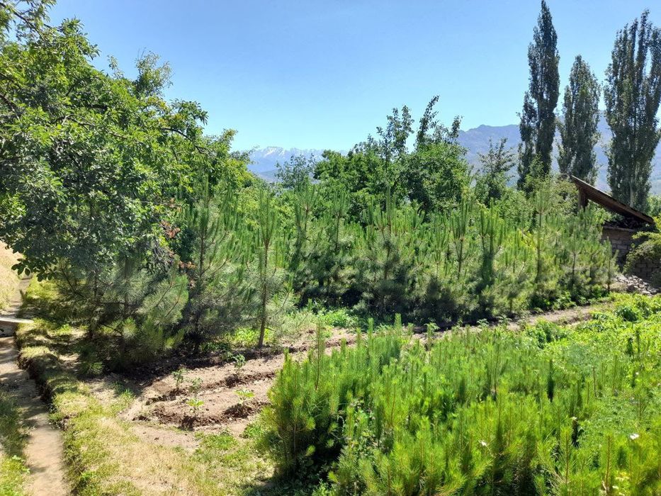 Ер сотилади 100.000$