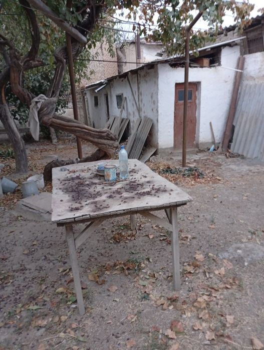 Частный дом на земле