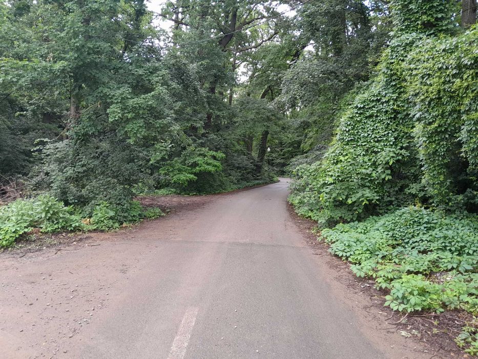 Teren de vanzare Snagov, Ilfov