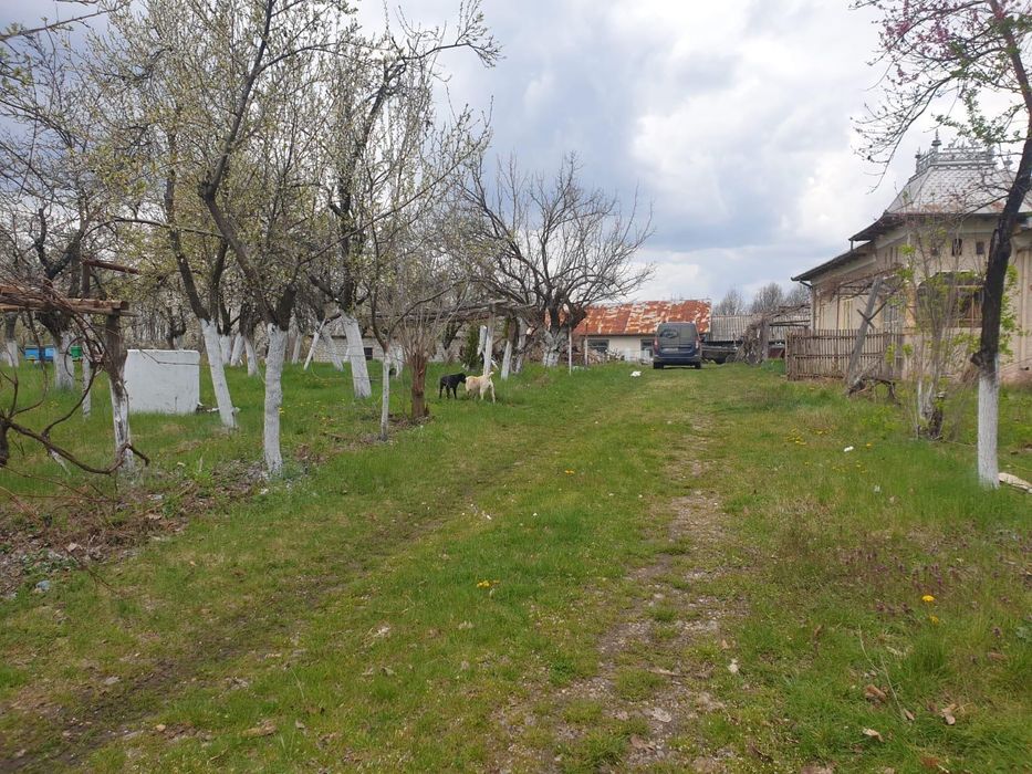 Vând teren cu potențial