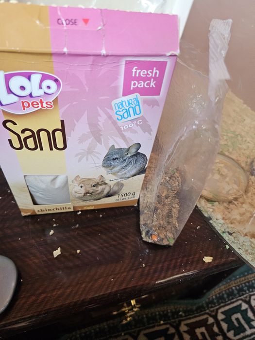 Хомяки сирийские