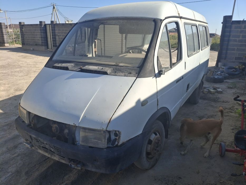 Газель заттар бар