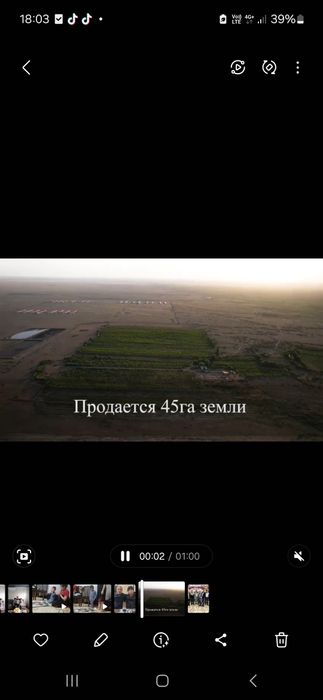 Продам сад 45 га абрикосовый