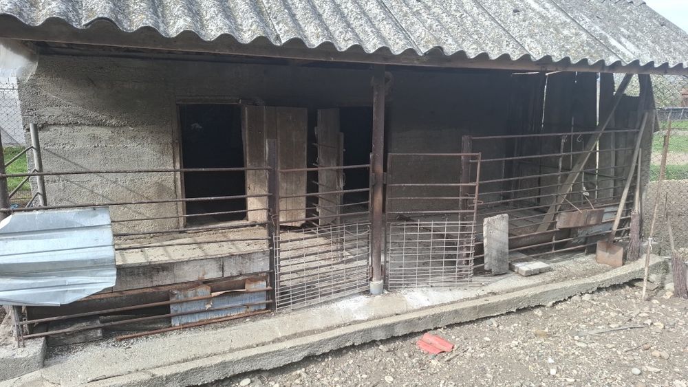 Vind casa cu anexe si gradina
