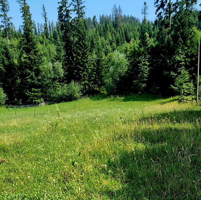 Vând Colț de Rai în Mălini, Poiana Mărului