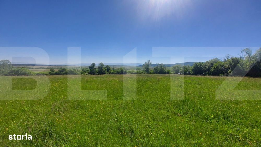 Investitie – 3,6 ha Glamping, Pensiune sau Centru Ecvestru in inima
