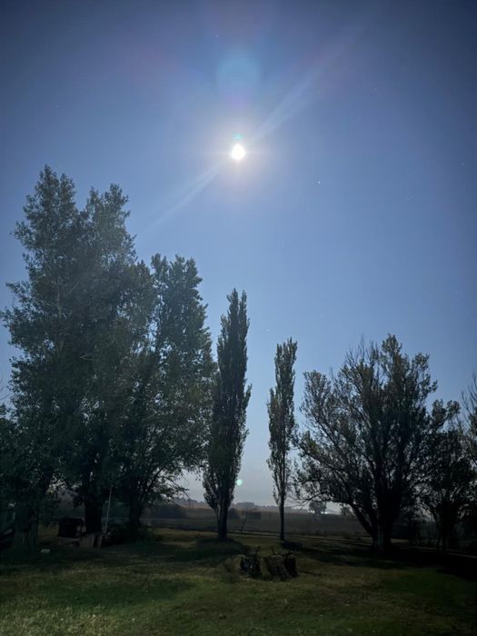 Сдается дом (коттэдж)