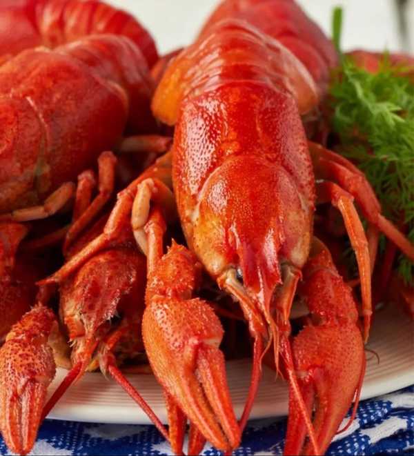 20 раками фото 20 раками фото